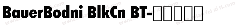 BauerBodni BlkCn BT字体转换